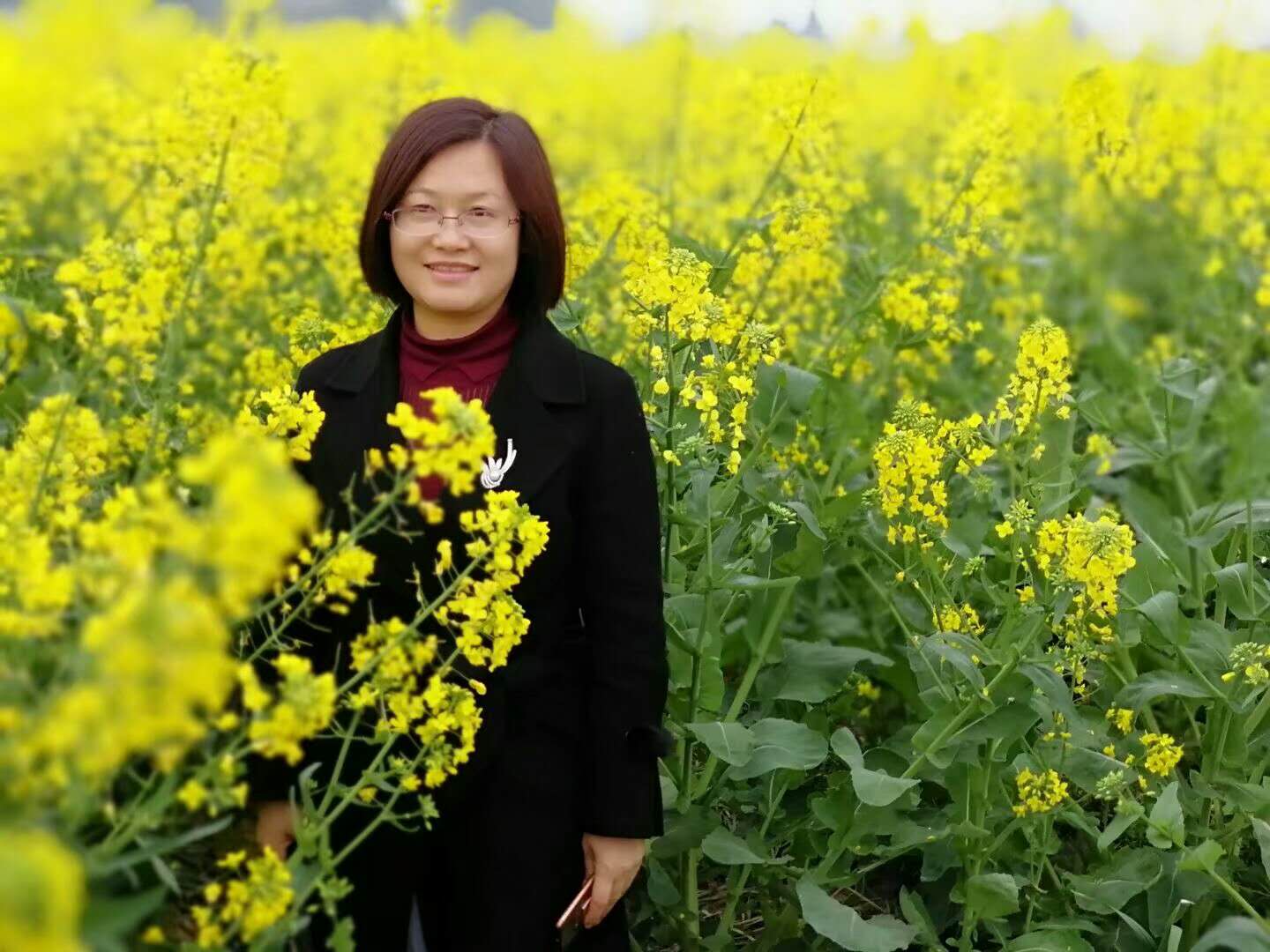 1747297559721.jpg 201912161051543566.jpg