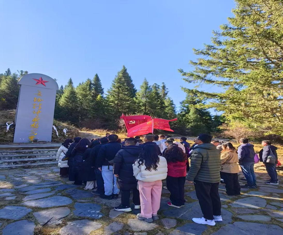 1762911242325.png 图片6.png